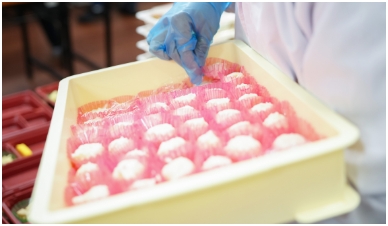 お弁当の調理、盛付、調理補助写真